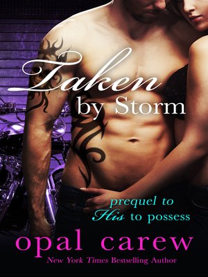 cover image of Taken by Storm